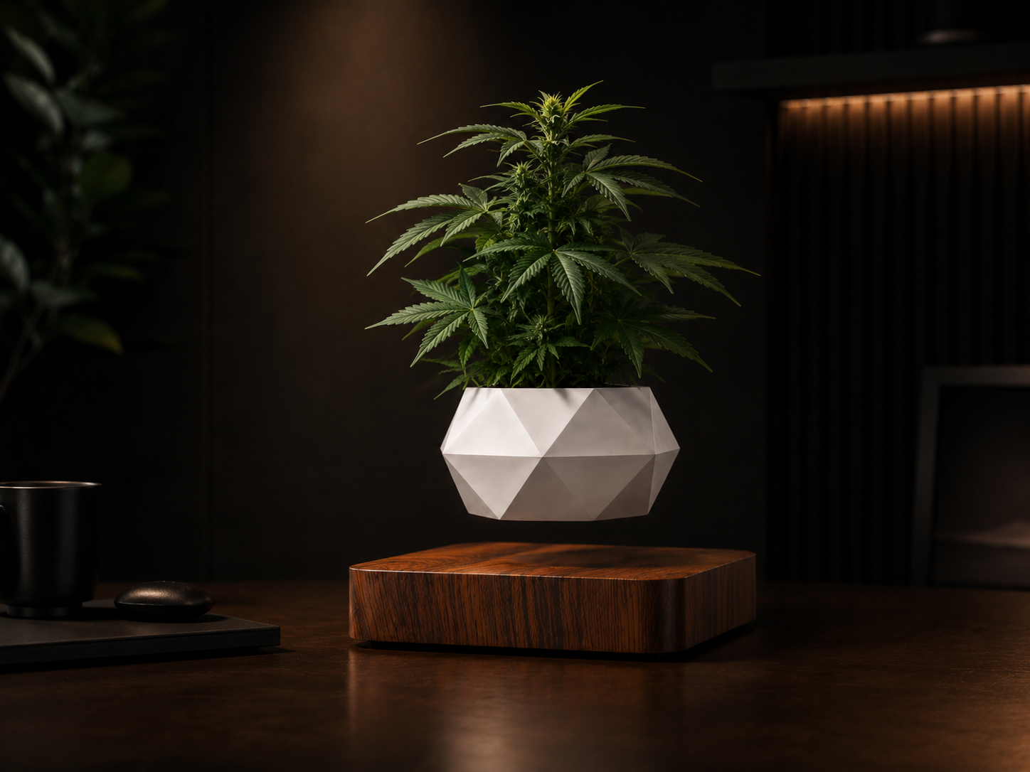 MAGFLOAT Pot