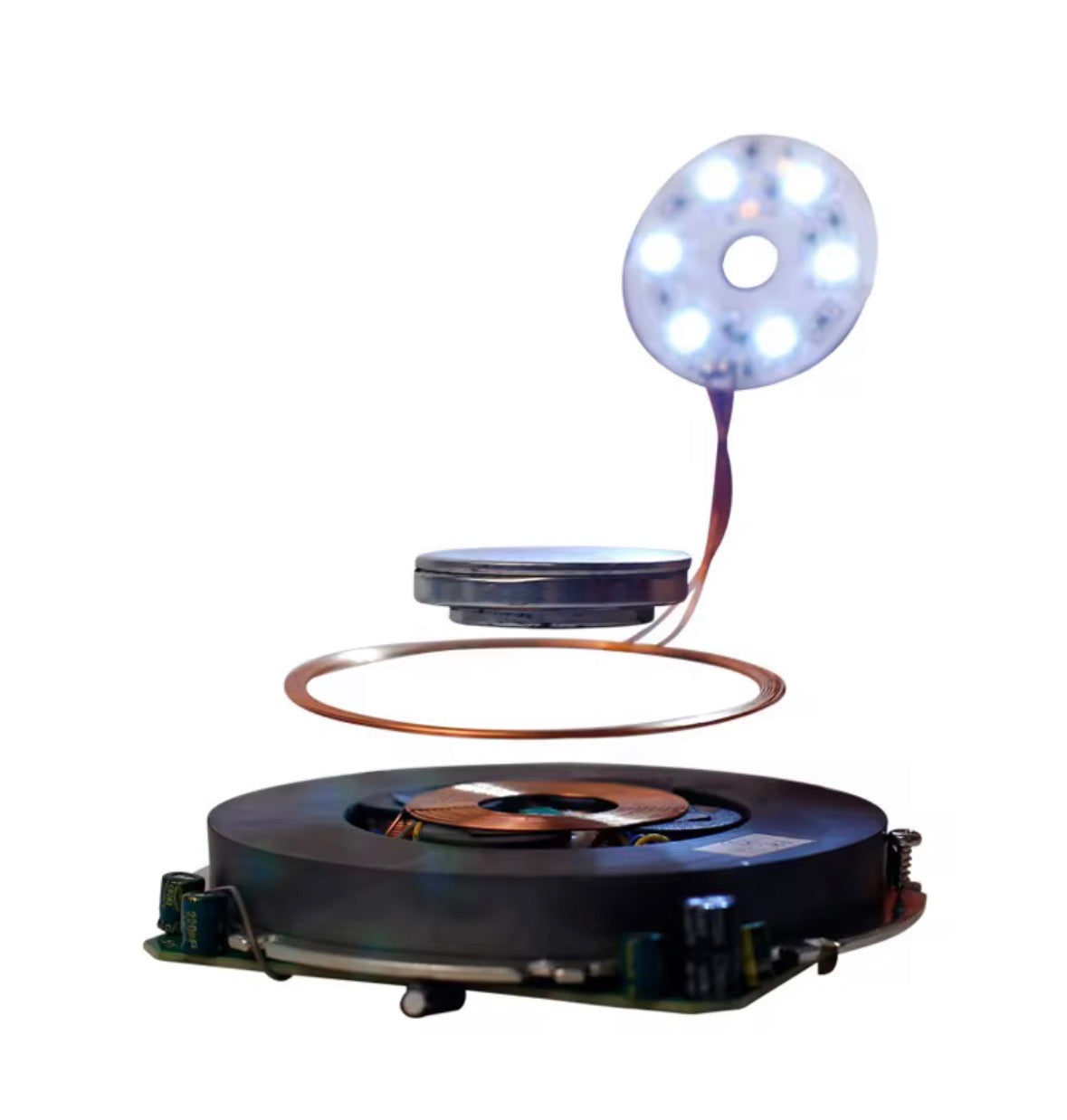 Funktionsansicht des magnetischen Levitation- und Induktionssystems von MAGFLOAT